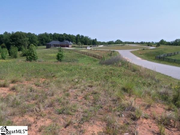 0 Century Circle Road Gray Court, SC 29645 - Photo 4 of 16