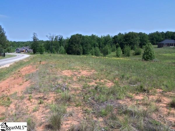 0 Century Circle Road Gray Court, SC 29645 - Photo 5 of 16