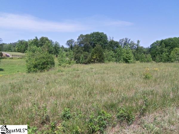 0 Century Circle Road Gray Court, SC 29645 - Photo 8 of 16