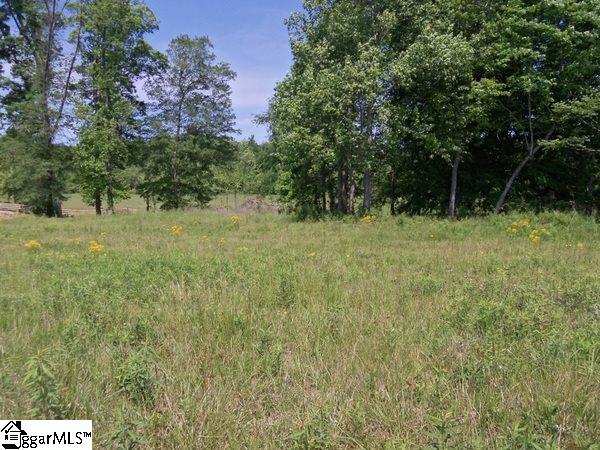 0 Century Circle Road Gray Court, SC 29645 - Photo 10 of 16