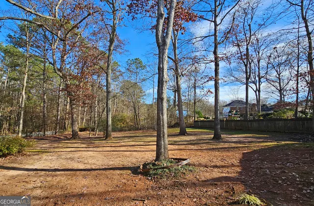 a view of a park with tree s