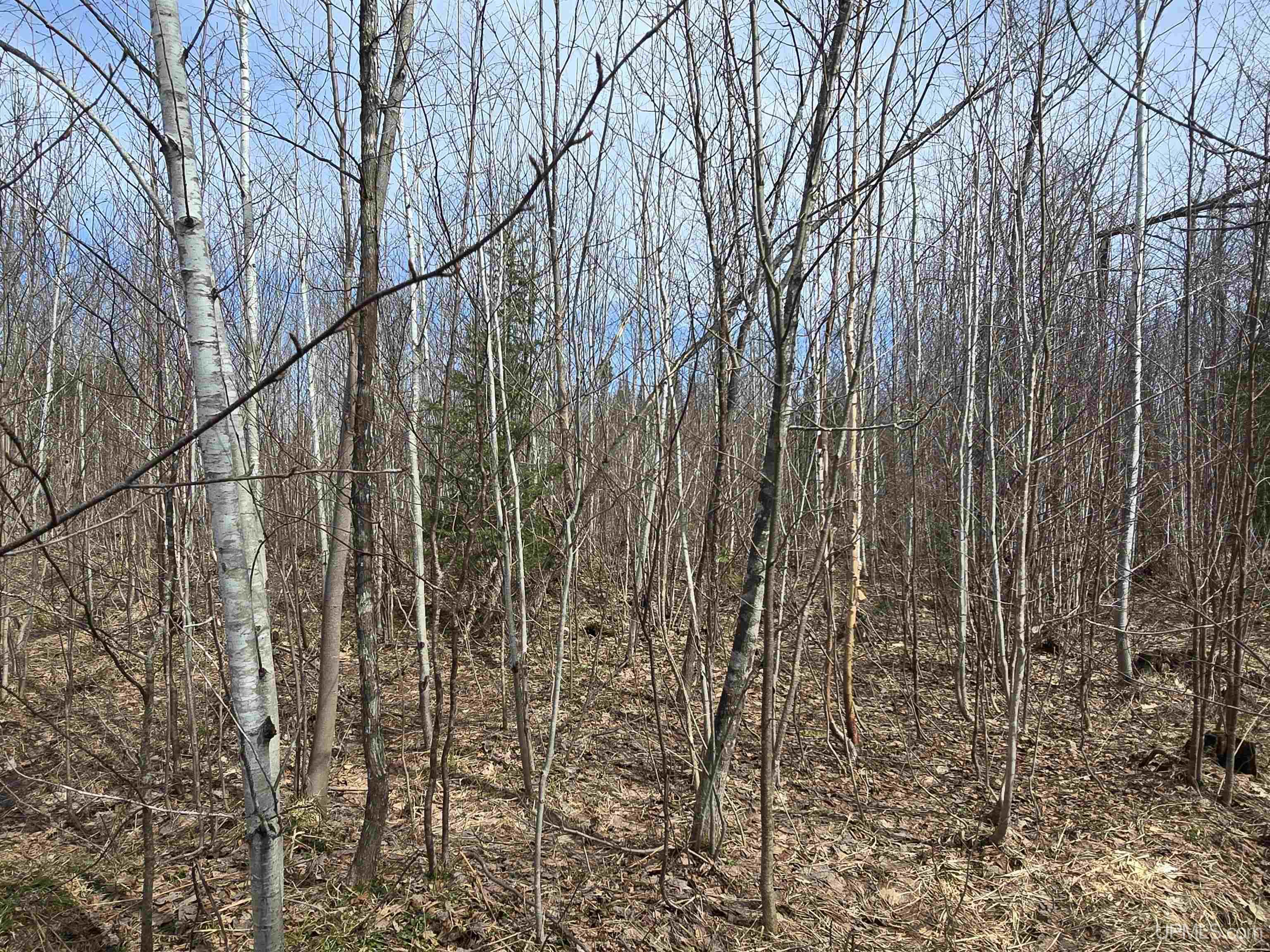 Tbd Woodspur Road Ontonagon, MI 49953 - Photo 41 of 46
