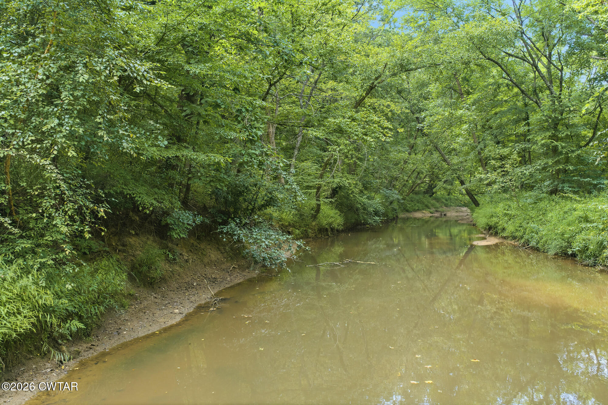 0 Cub Creek Hall Road Parsons, TN 38363 - Photo 18 of 25 DJI_20260809150206_0684_D