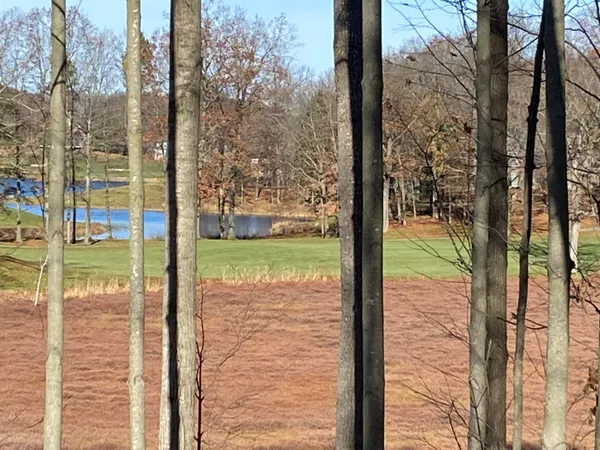 $58,900 | 8975 Whispering Lane, Unit 234235, Canadian Lakes, MI 49346