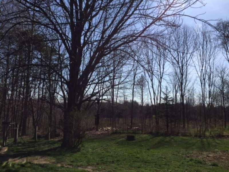 148 North Gordon Road Scottville, MI 49454 - Photo 29 of 29 Land :)