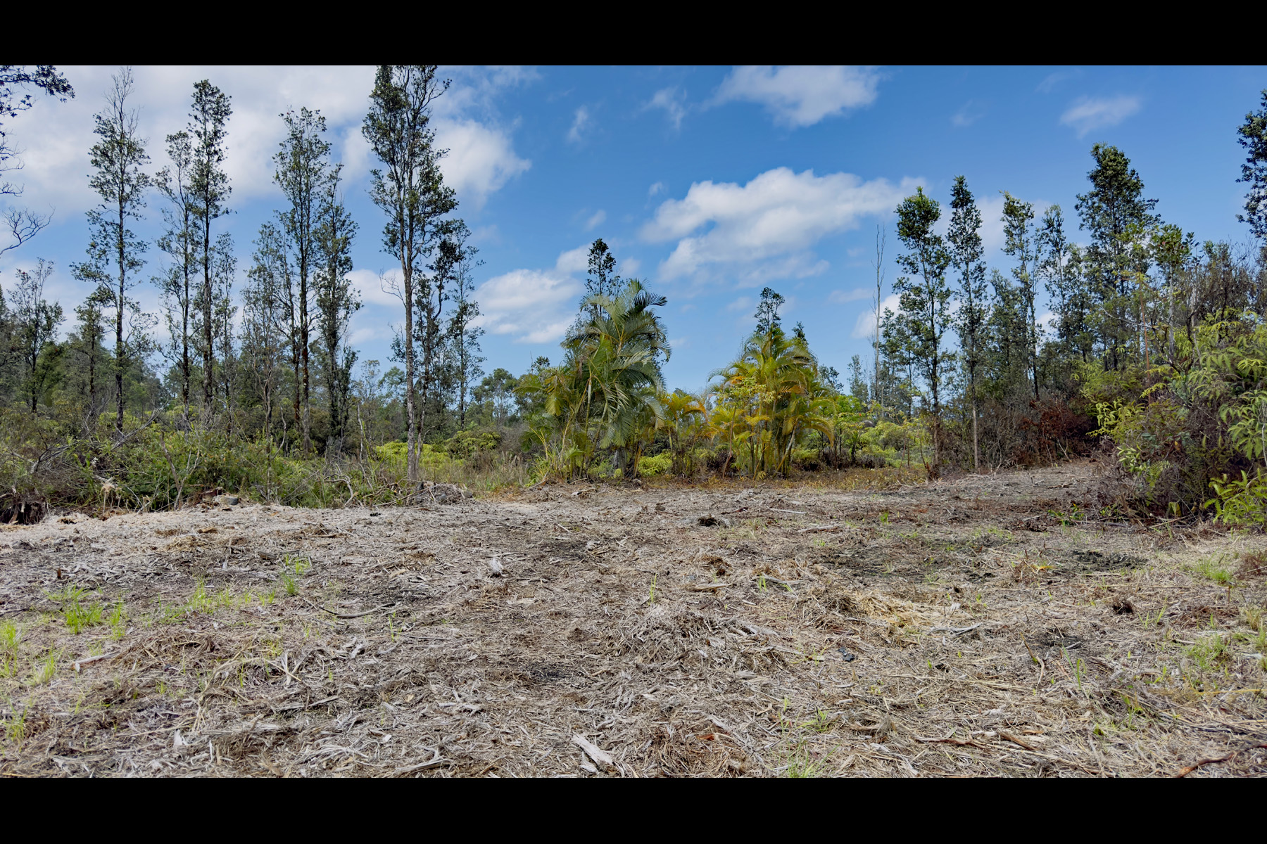2444 Uhini Ana Road Mountain View, HI 96771 - Photo 2 of 27 a view of a yard