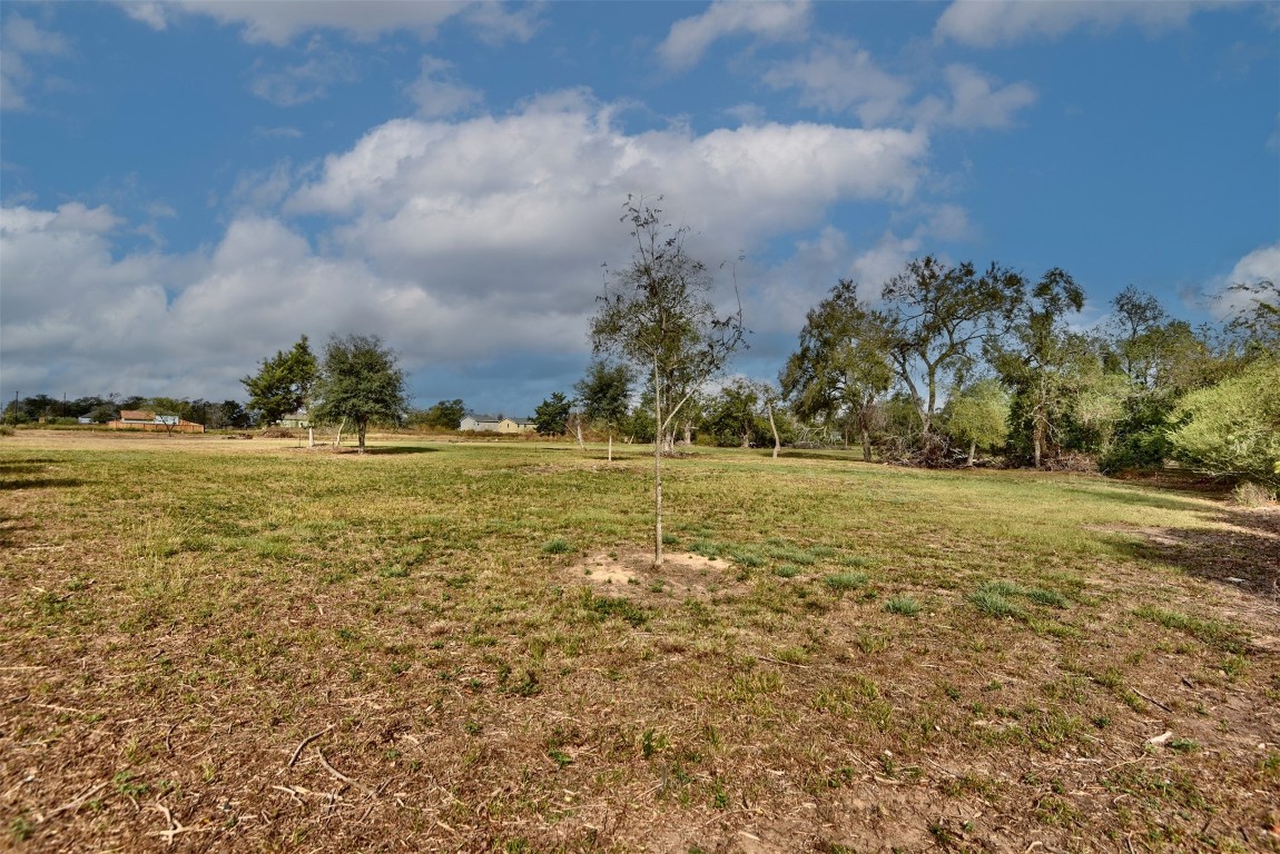0 20th Hempstead, TX 77445 - Photo 14 of 21 a view of a field with an trees
