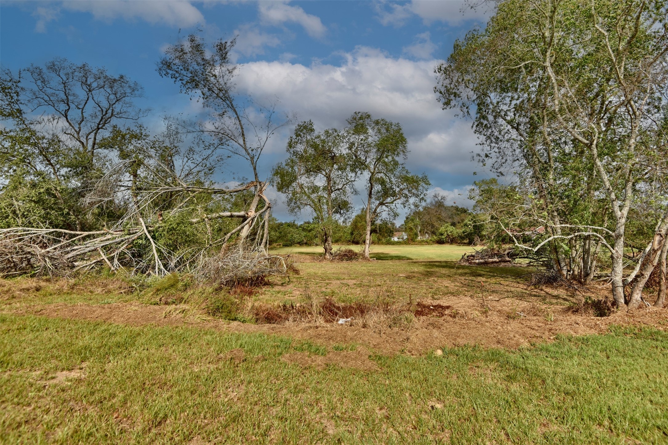 0 20th Hempstead, TX 77445 - Photo 18 of 21 a view of a yard with plants and trees