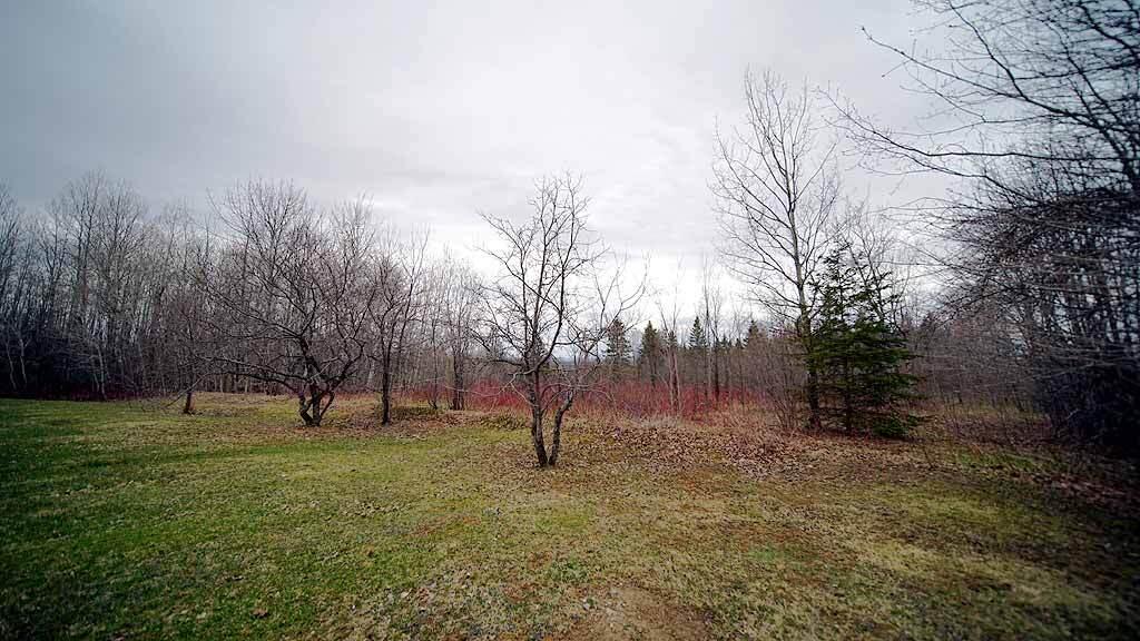Lot 4 Green Road Houlton, ME 04730 - Photo 50 of 58 land-mcneil-lot-5