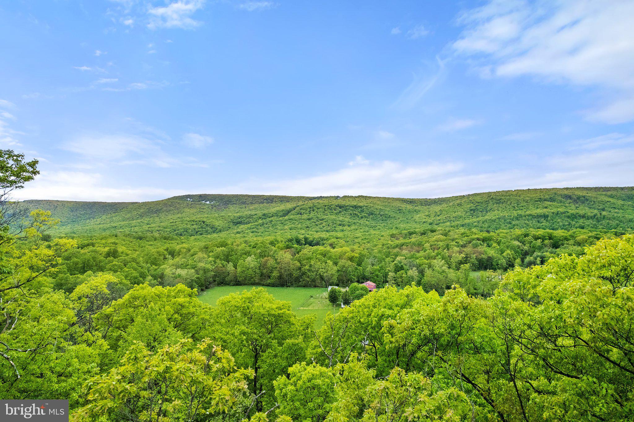 1268 Fishel Road Winchester, VA 22602 - Photo 41 of 66 Aerial Property View