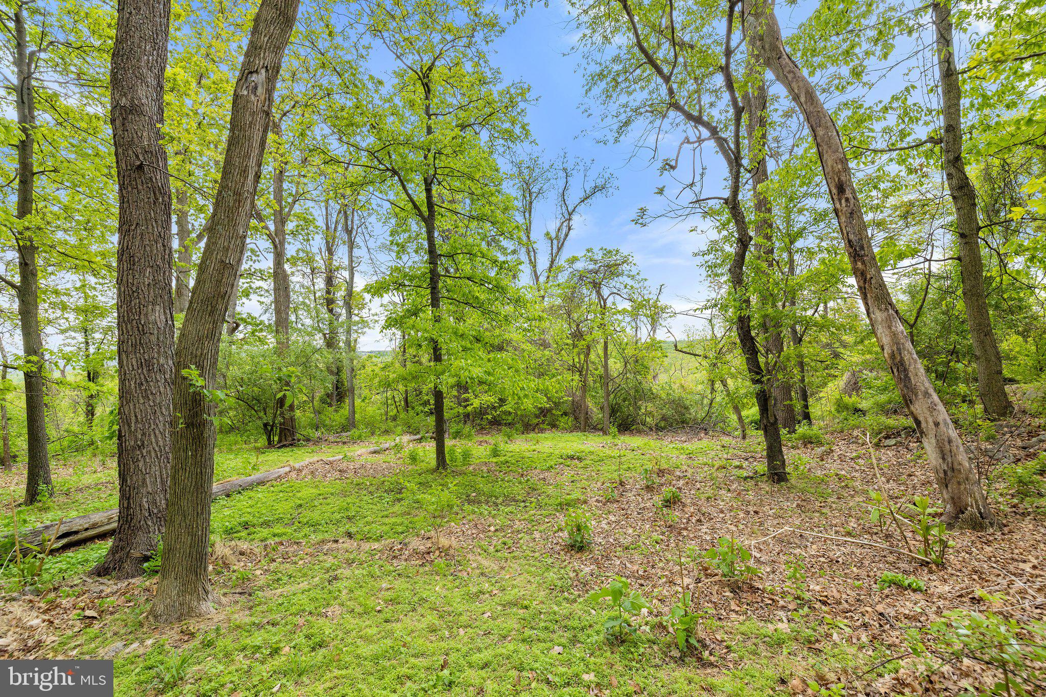 1268 Fishel Road Winchester, VA 22602 - Photo 42 of 66 Quiet, Peaceful and Nature Filled Property
