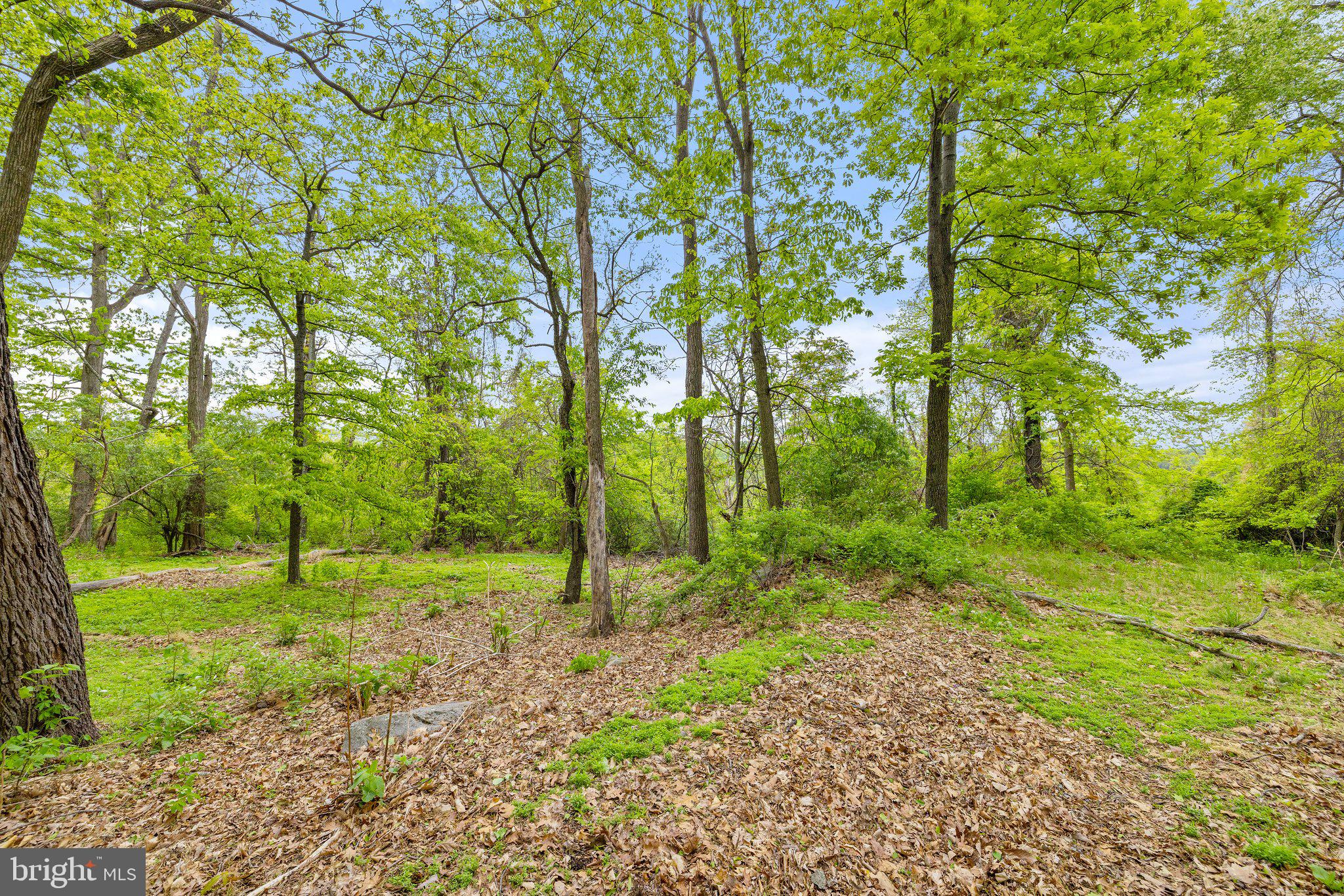 1268 Fishel Road Winchester, VA 22602 - Photo 44 of 66 Quiet, Peaceful and Nature Filled Property