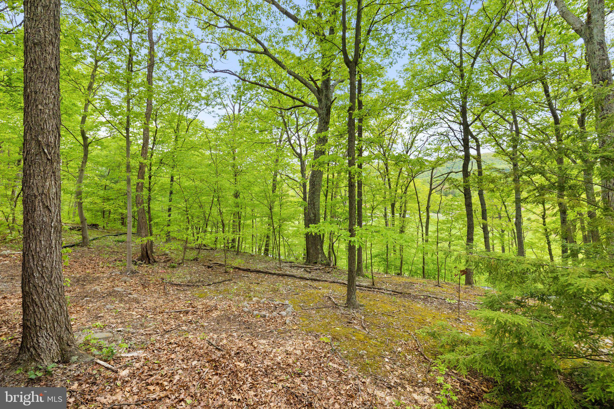 1268 Fishel Road Winchester, VA 22602 - Photo 45 of 66 Quiet, Peaceful and Nature Filled Property