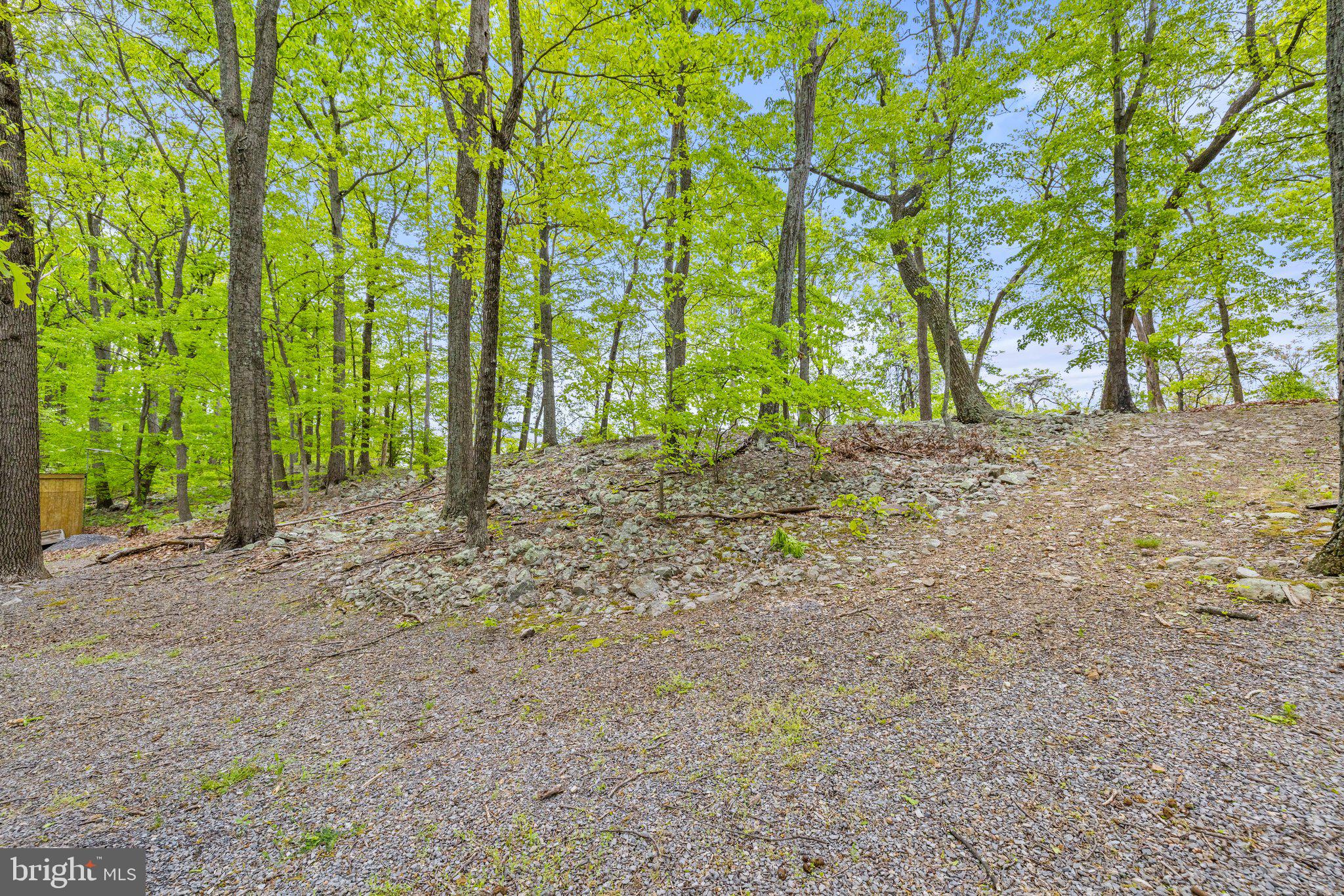 1268 Fishel Road Winchester, VA 22602 - Photo 46 of 66 Quiet, Peaceful and Nature Filled Property