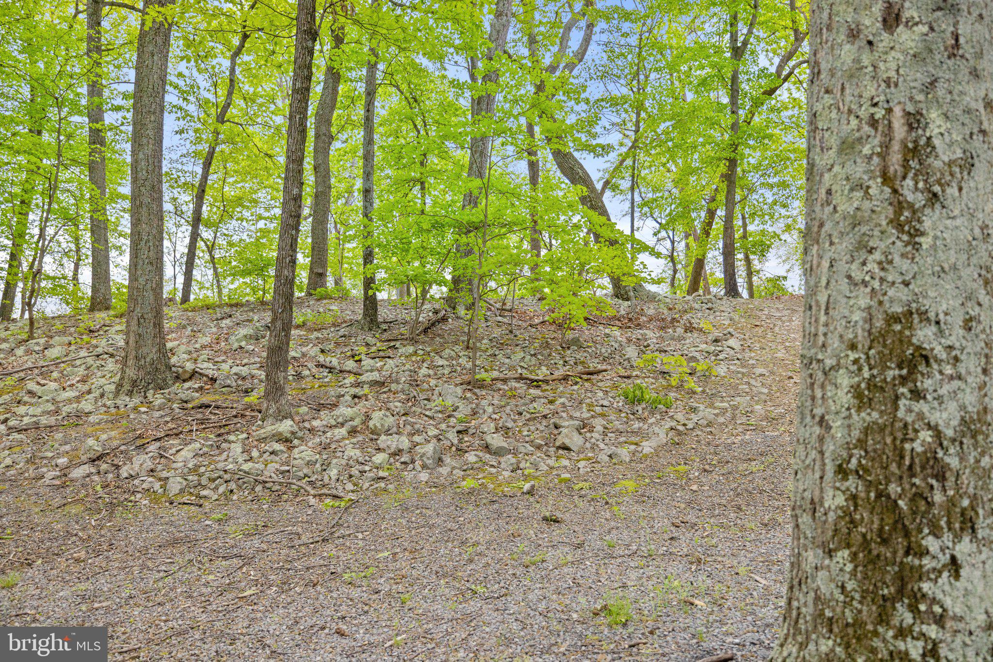 1268 Fishel Road Winchester, VA 22602 - Photo 47 of 66 Quiet, Peaceful and Nature Filled Property