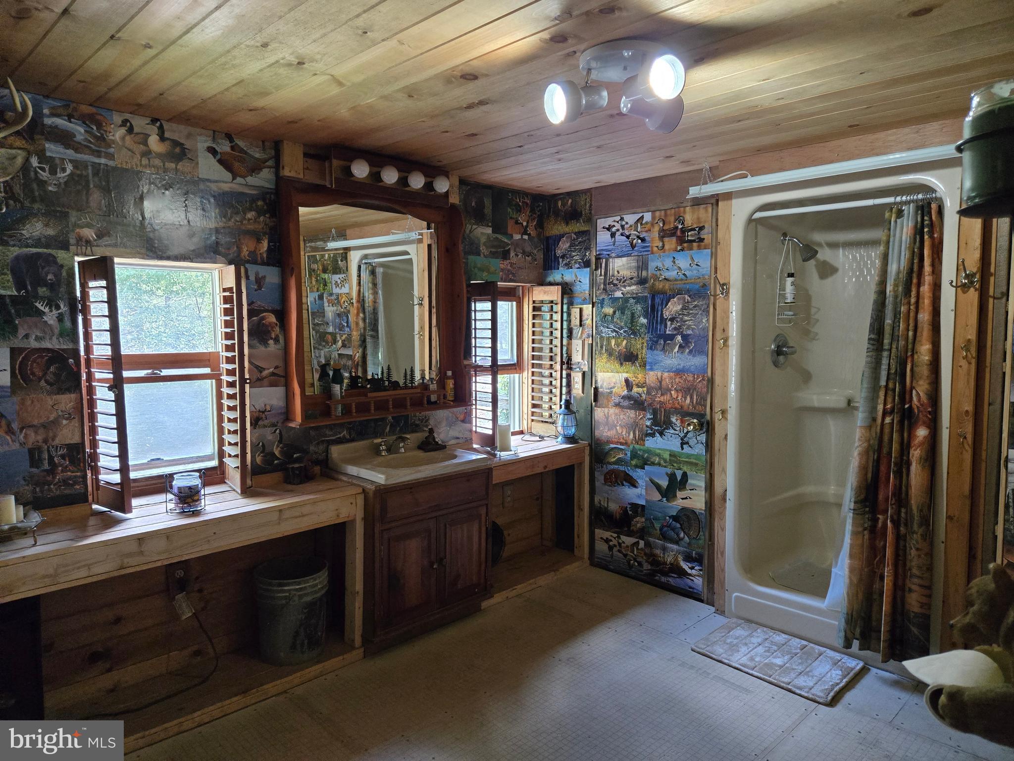 111 Firehouse Road Morrisdale, PA 16858 - Photo 36 of 55 Gallery Image 36