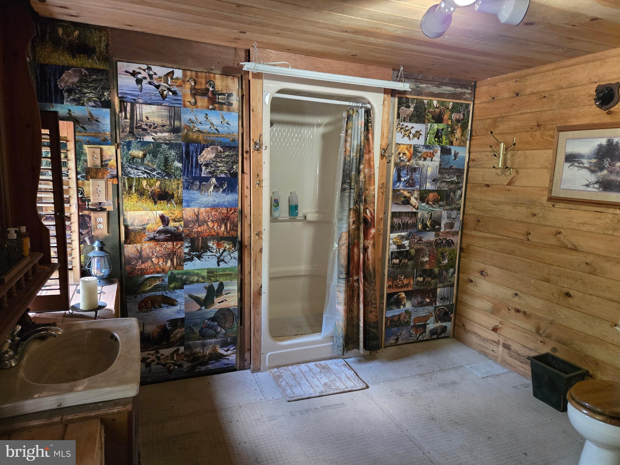 111 Firehouse Road Morrisdale, PA 16858 - Photo 38 of 55 Gallery Image 38