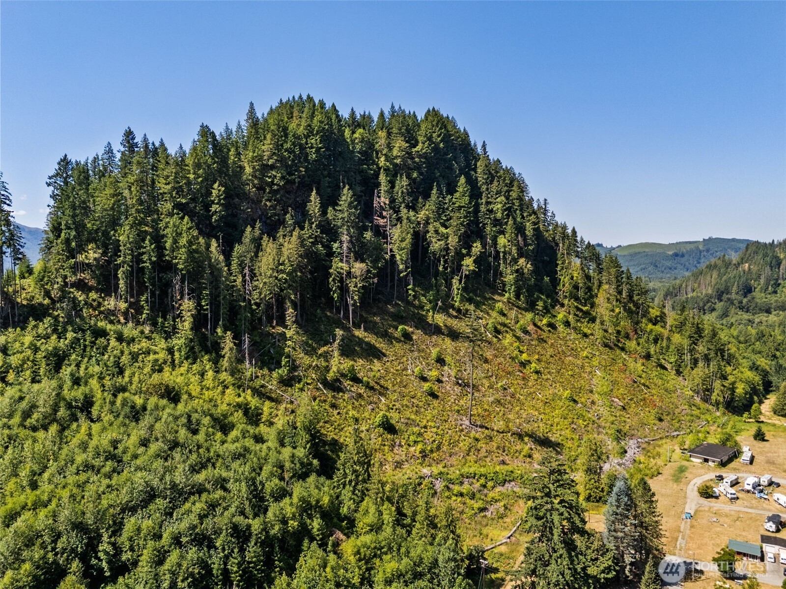 a view of a yard with a tree