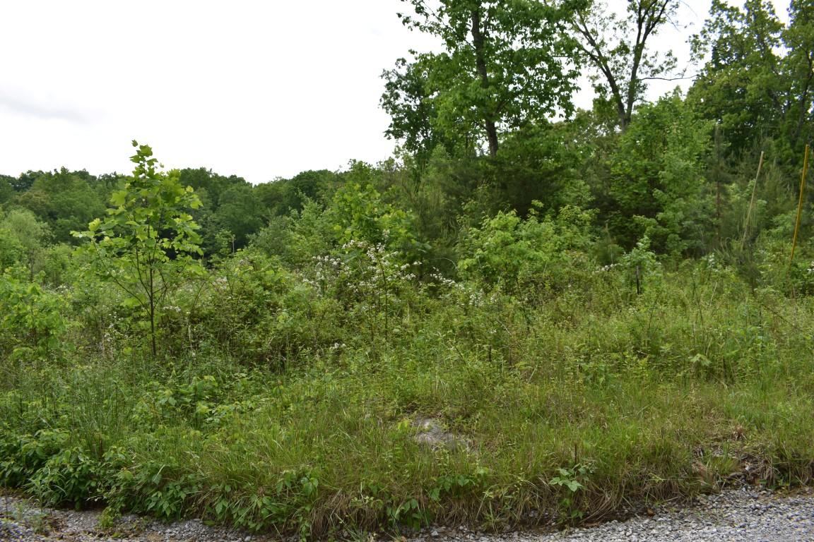 Lot #72 Oak Trail Spring, Unit 72 Spring City, TN 37381 - Photo 1 of 6 1