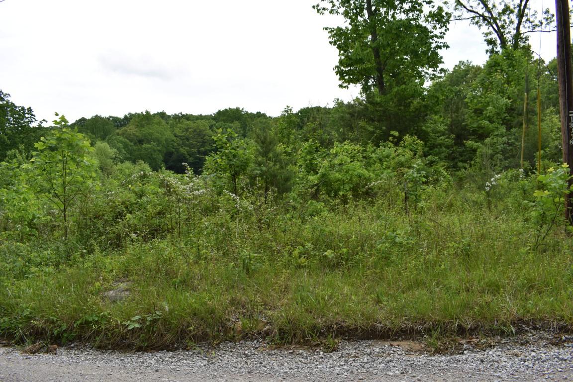Lot #72 Oak Trail Spring, Unit 72 Spring City, TN 37381 - Photo 3 of 6 3