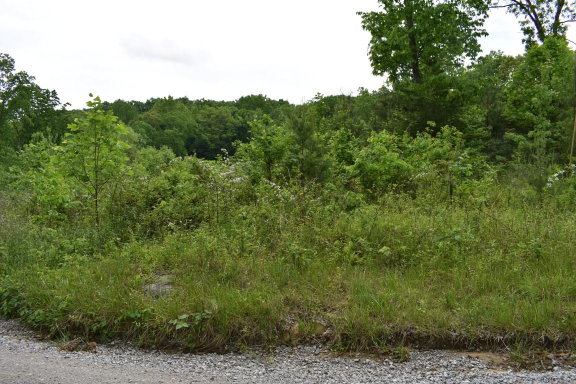 Lot #72 Oak Trail Spring, Unit 72 Spring City, TN 37381 - Photo 4 of 6 4