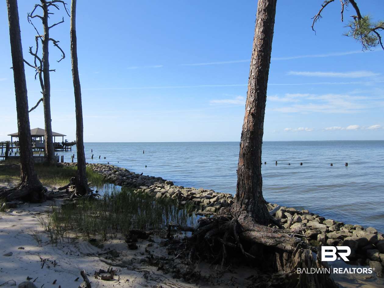 Strong Road Gulf Shores, AL 36542 - Photo 13 of 21
