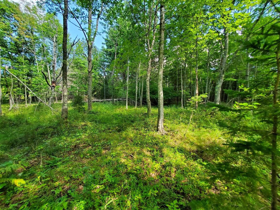 0 Front Ridge Road, Unit 39B Orland, ME 04472 - Photo 12 of 40 20230827_131732_resized