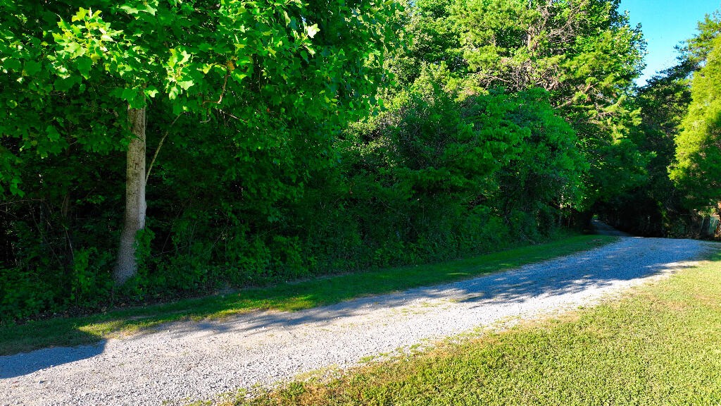 0 Burley Ln Spring Spring City, TN 37381 - Photo 3 of 9 Gallery Image 3