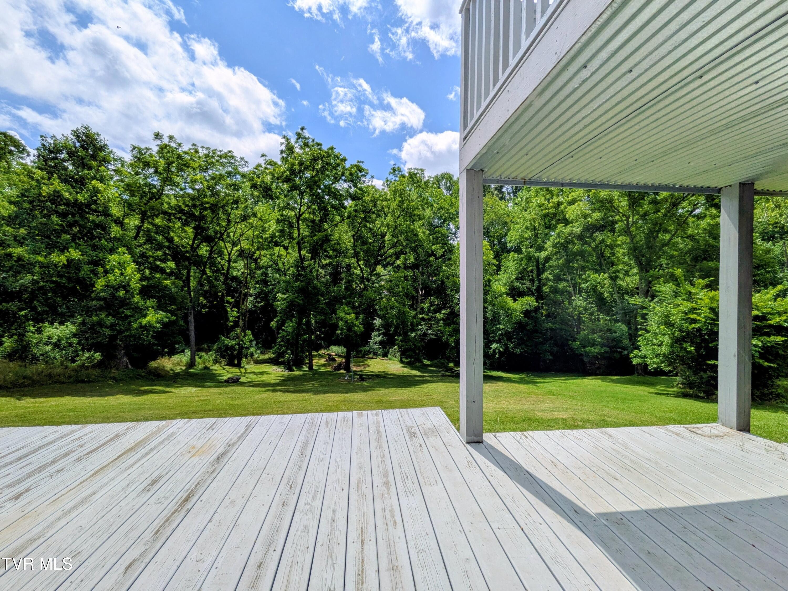 1129 Jackson Hollow Road Kingsport, TN 37663 - Photo 48 of 59 Backyard(7)