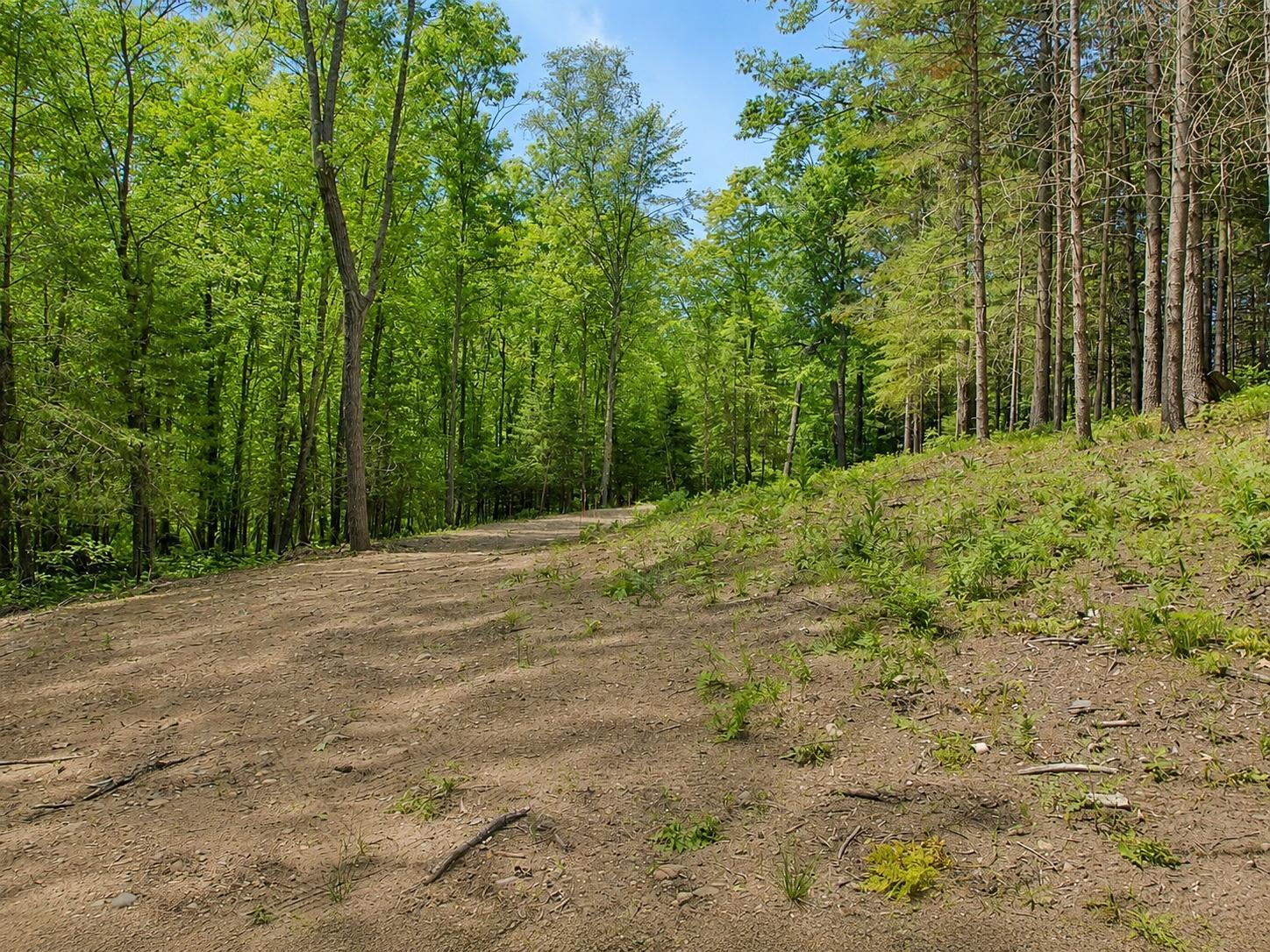 0 Ranch Road Stone Lake, WI 54876 - Photo 17 of 21