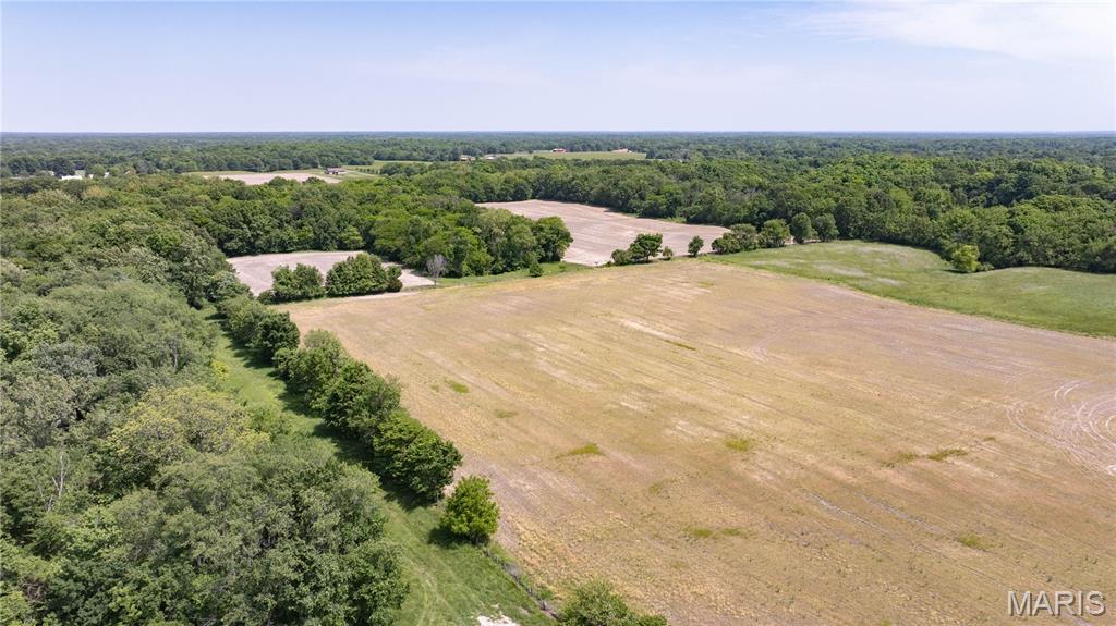 2 County Line Road Brighton, IL 62012 - Photo 10 of 12