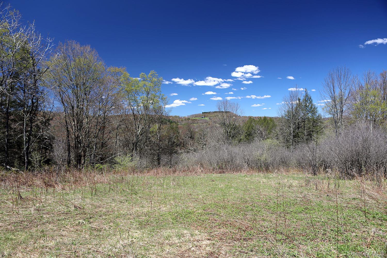 Hubert Road Jeffersonville, NY 12748 - Photo 16 of 19 a view of a yard with an tree