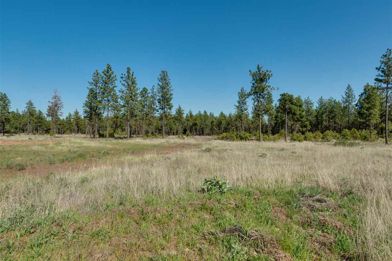 18009 South Wolfe Road Cheney, WA 99004 - Photo 18 of 20