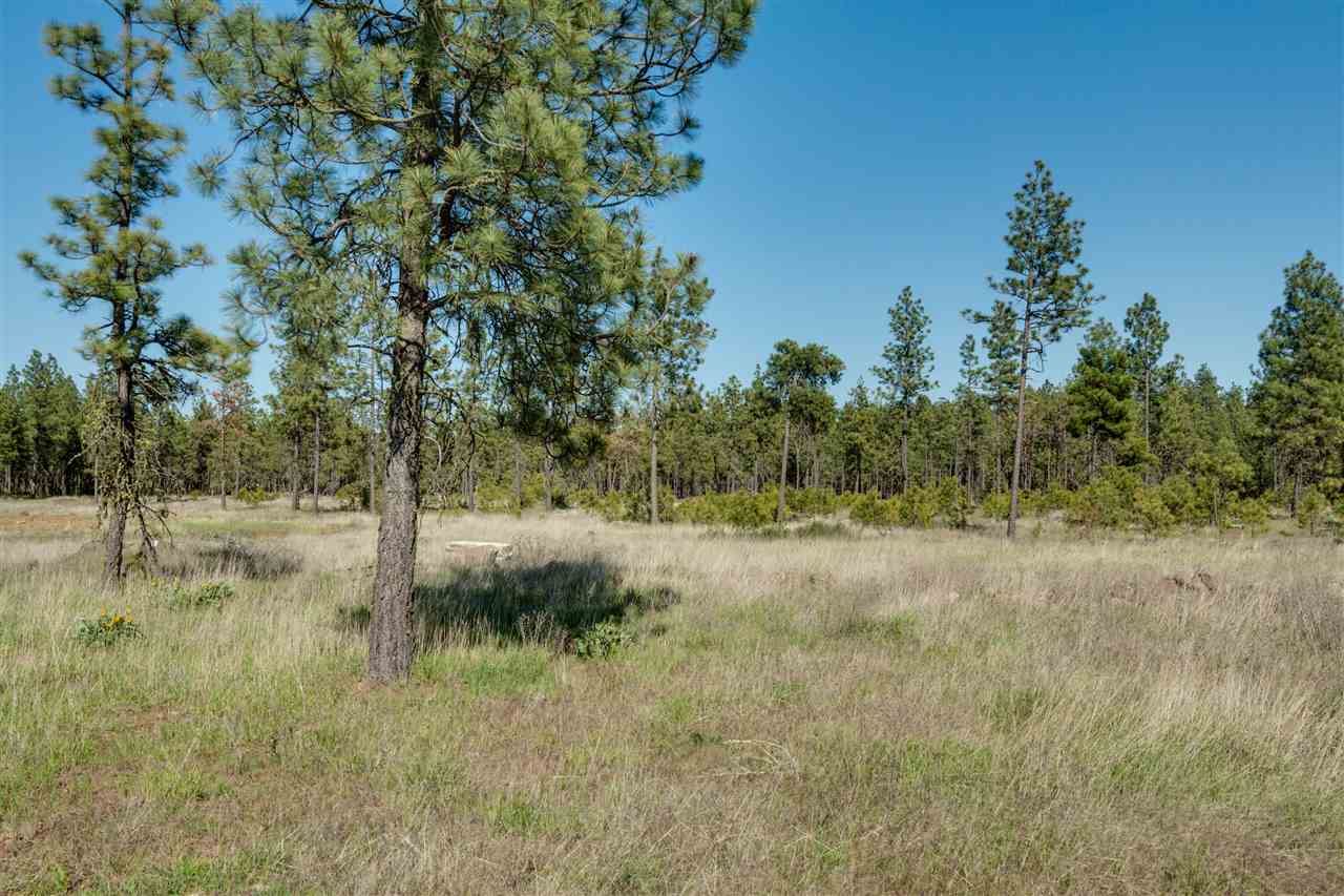 18009 South Wolfe Road Cheney, WA 99004 - Photo 19 of 20