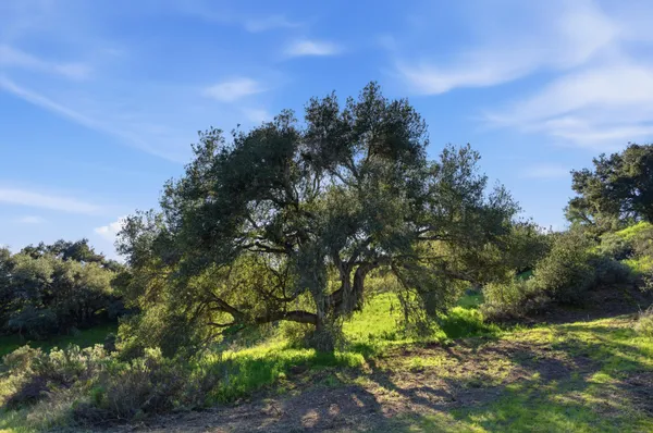 $4,195,000 | 905 Croft Lane, Solvang, CA 93463