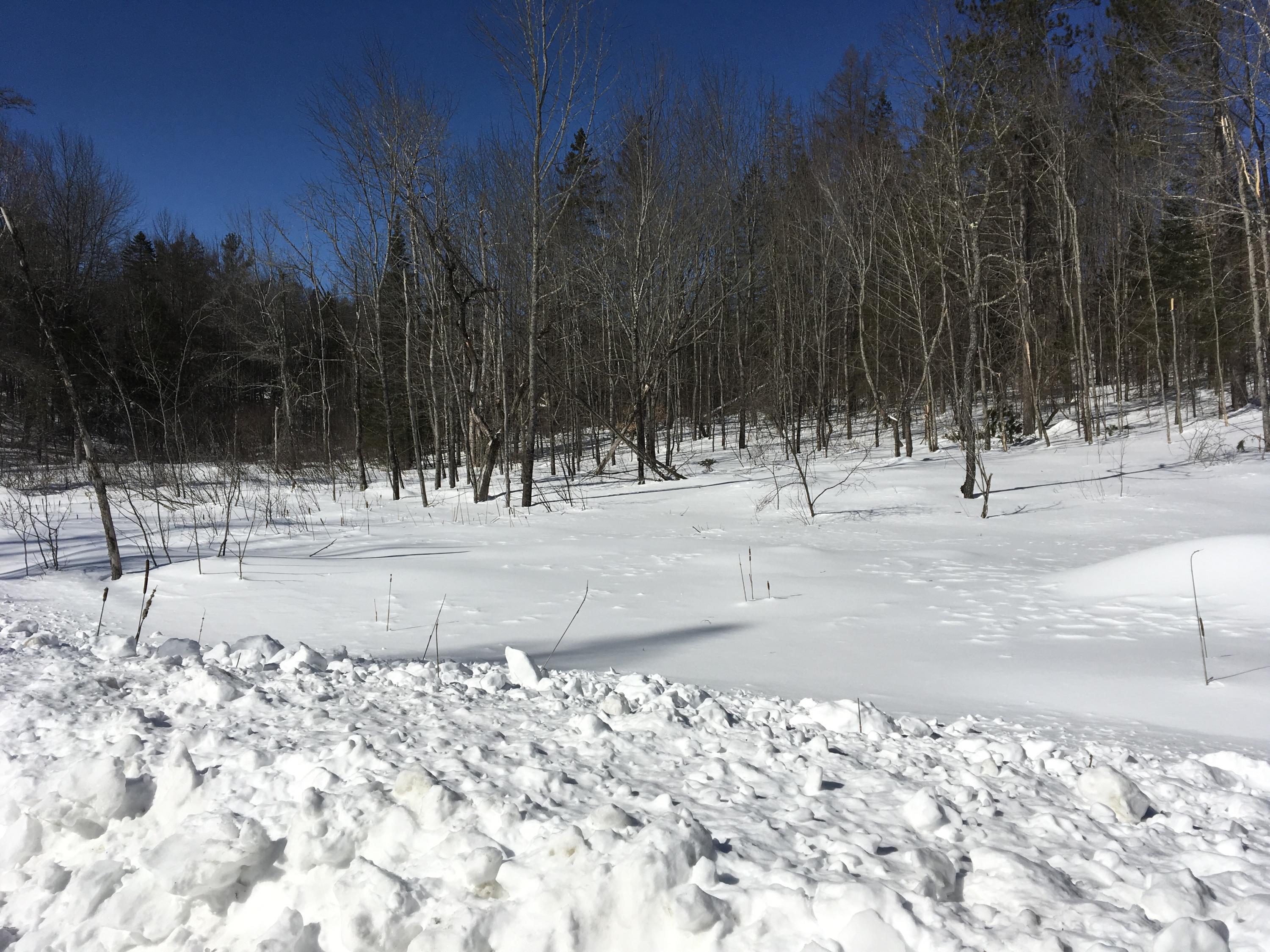 Lot 16 Downs Road Sebec, ME 04481 - Photo 8 of 10 Photo Mar 01, 12 20 55 PM