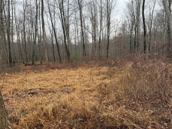 $2,200,000 | 312 Merrow Road, Tolland, CT 06084