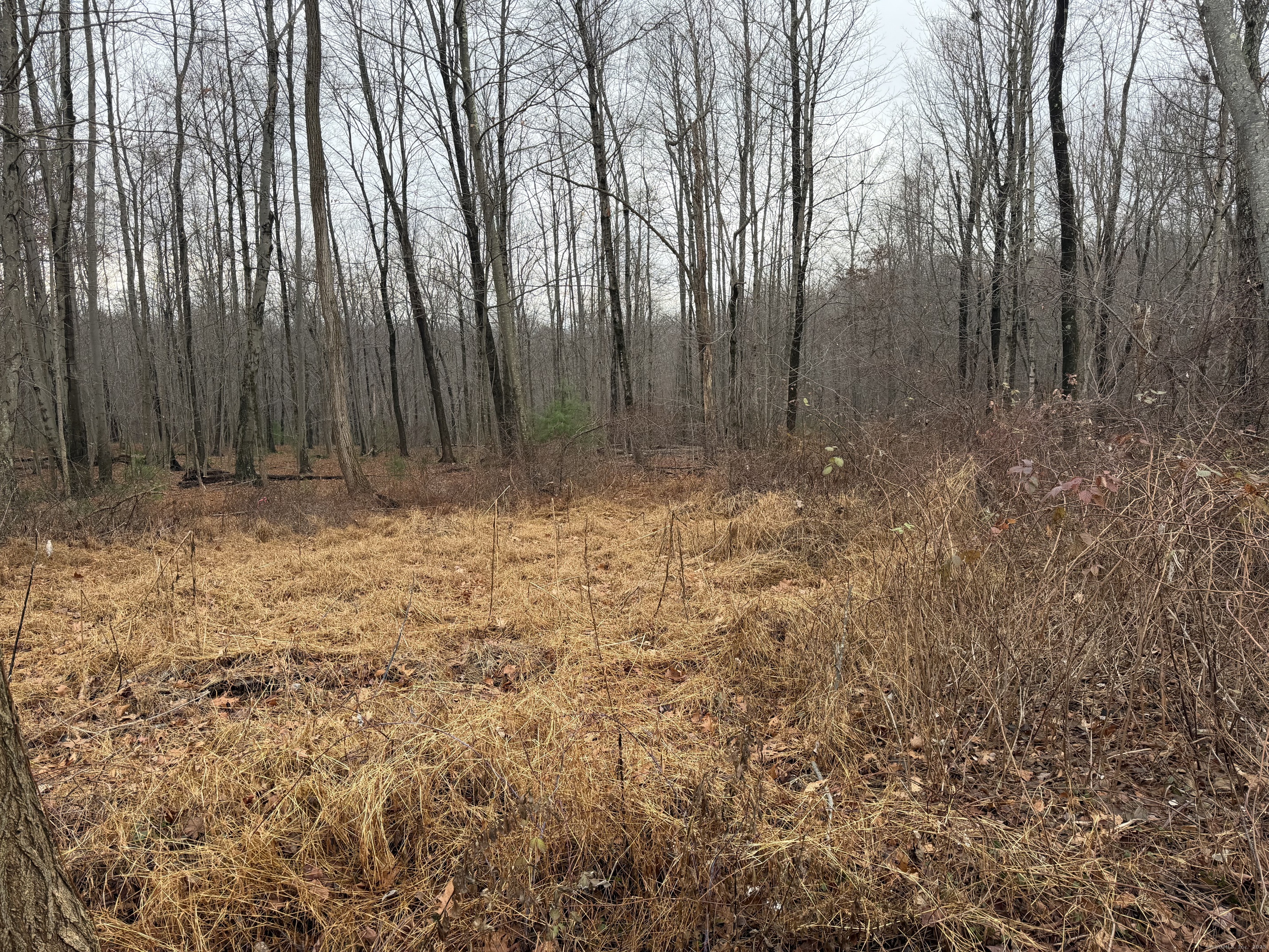 a view of wooden fence