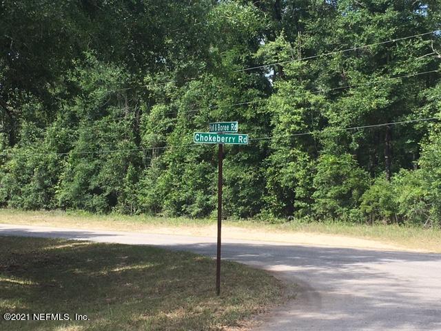 4180 Chokeberry Road Middleburg, FL 32068 - Photo 3 of 3 Chokeberry street corner