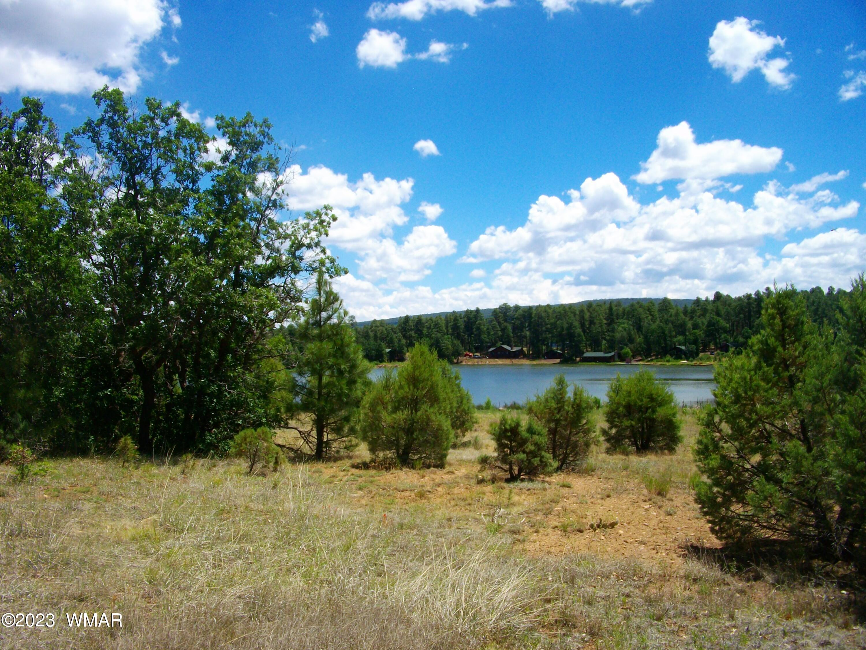 2650 South White Mountain Road Lakeside, AZ 85929 - Photo 1 of 17 SANY3876
