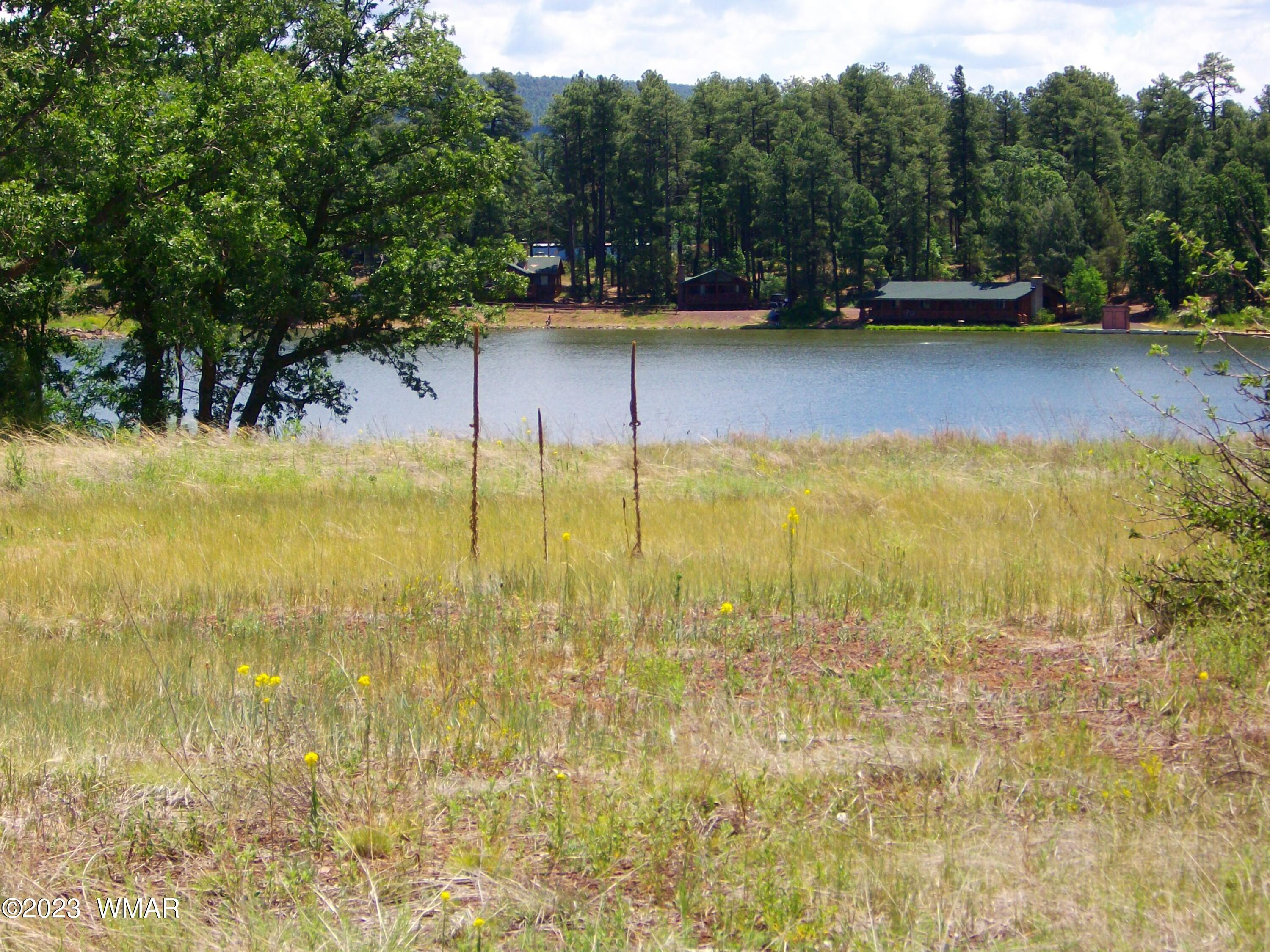 2650 South White Mountain Road Lakeside, AZ 85929 - Photo 2 of 17 SANY3881