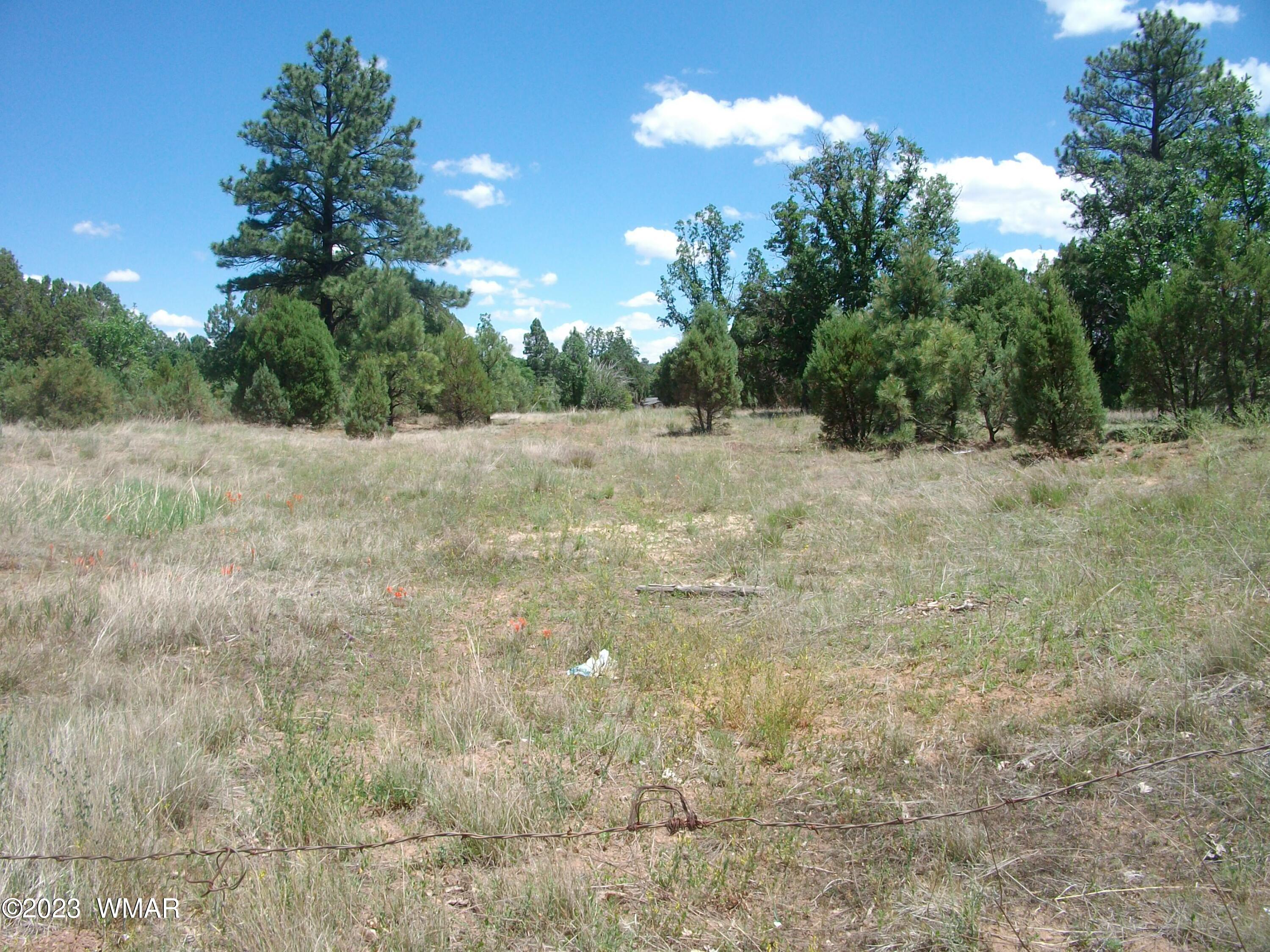 2650 South White Mountain Road Lakeside, AZ 85929 - Photo 3 of 17 SANY3871