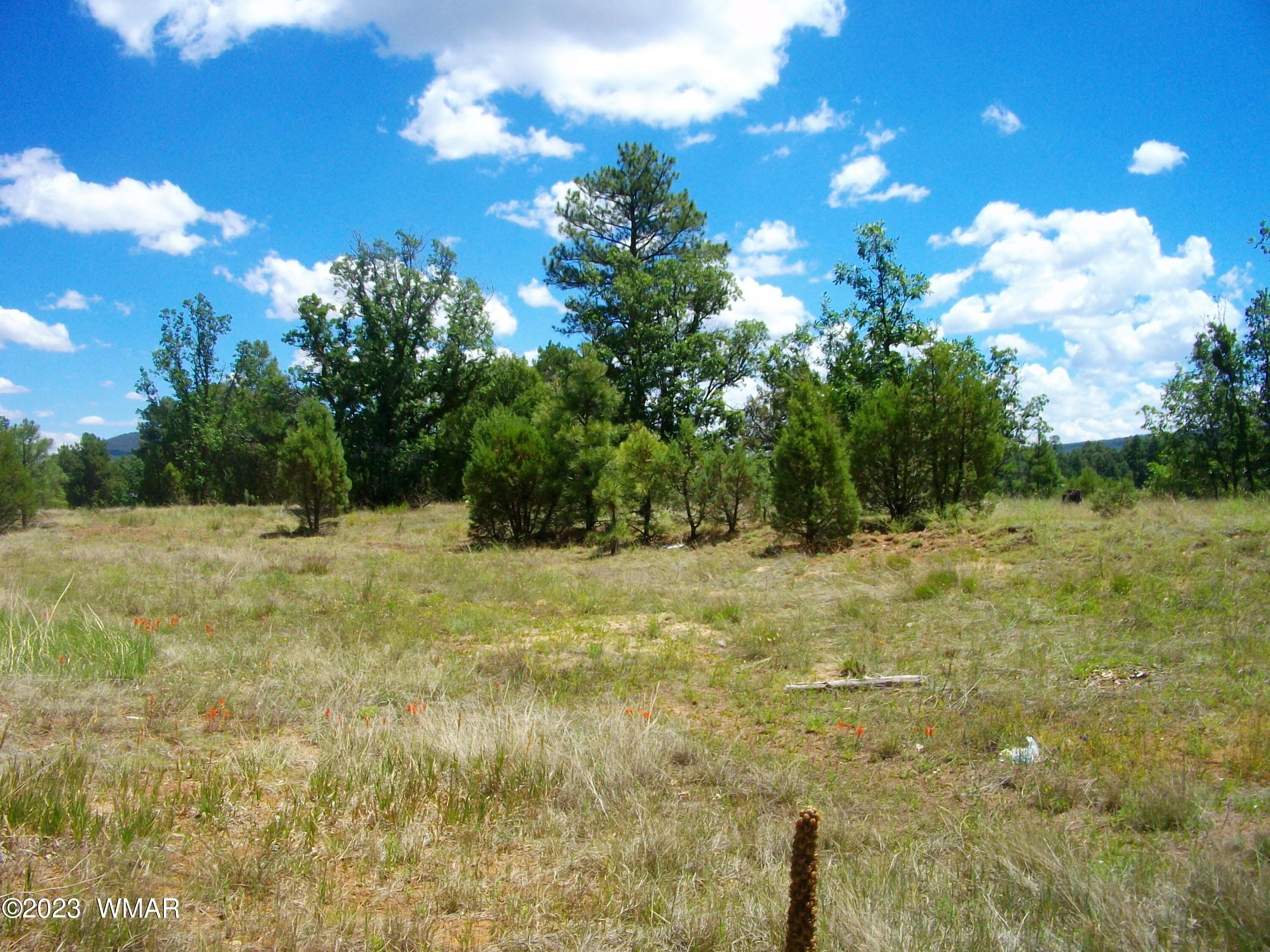 2650 South White Mountain Road Lakeside, AZ 85929 - Photo 4 of 17 SANY3873