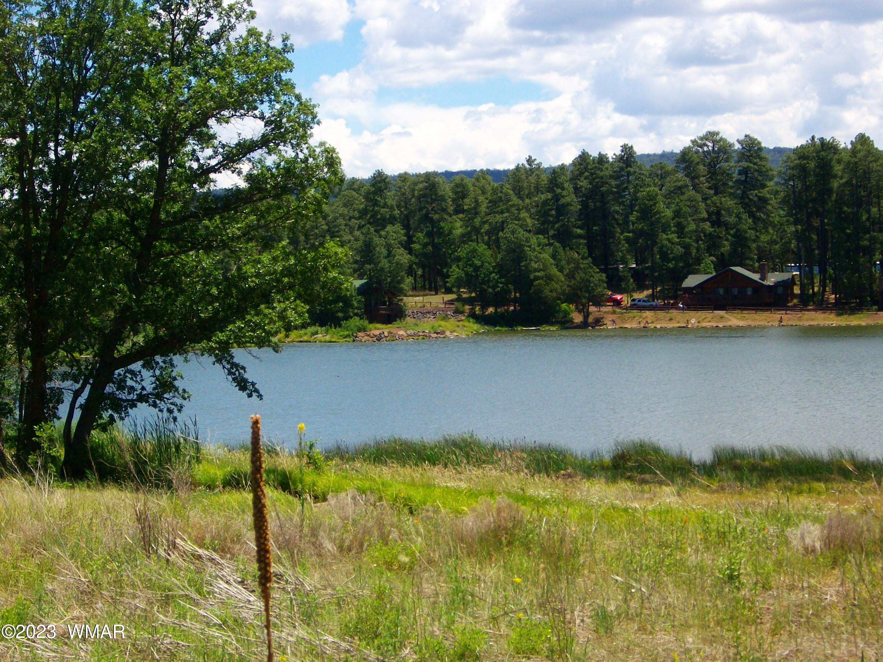 2650 South White Mountain Road Lakeside, AZ 85929 - Photo 8 of 17 SANY3884