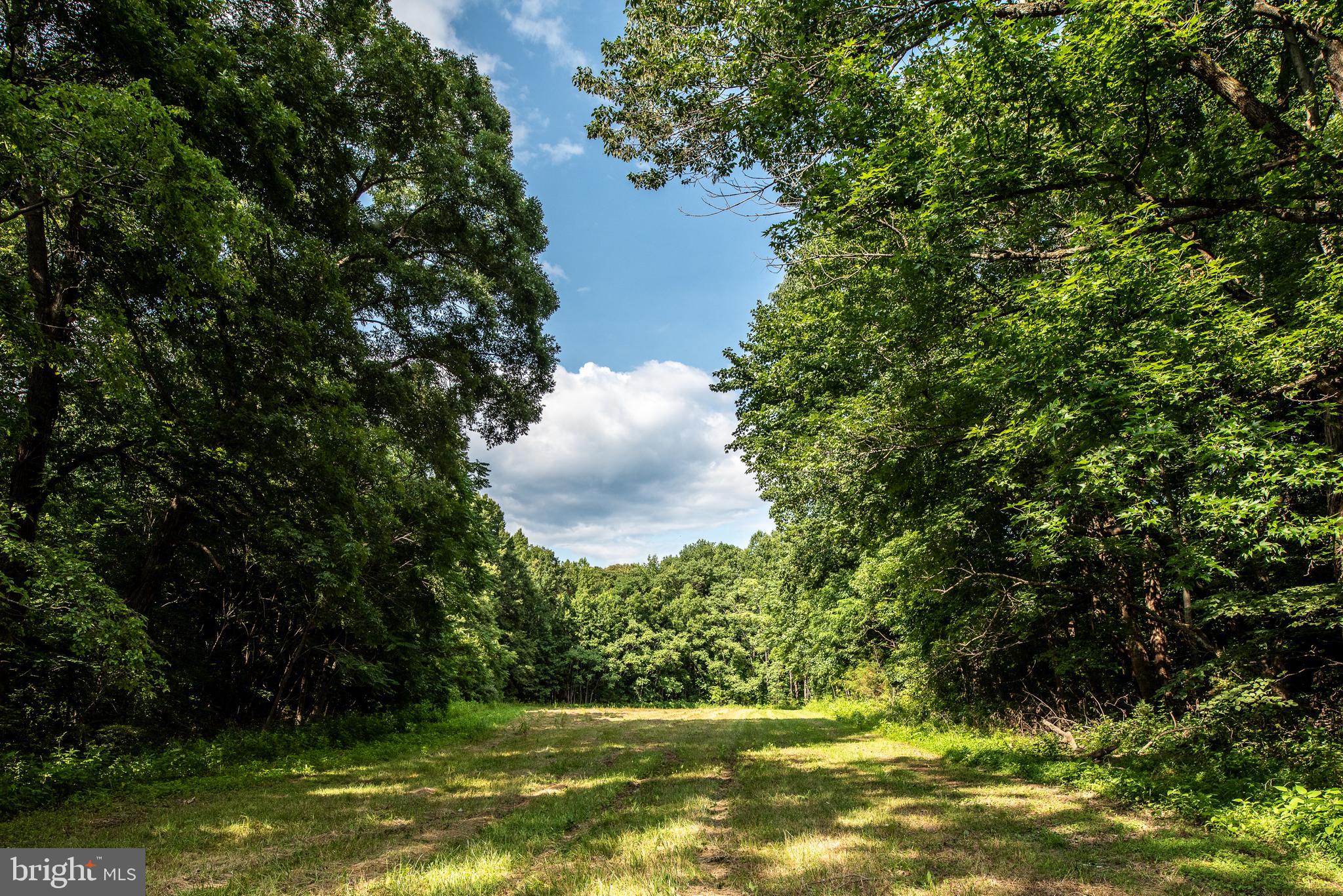 Hicks Landing Road Rappahannock Academy, VA 22538 - Photo 2 of 64