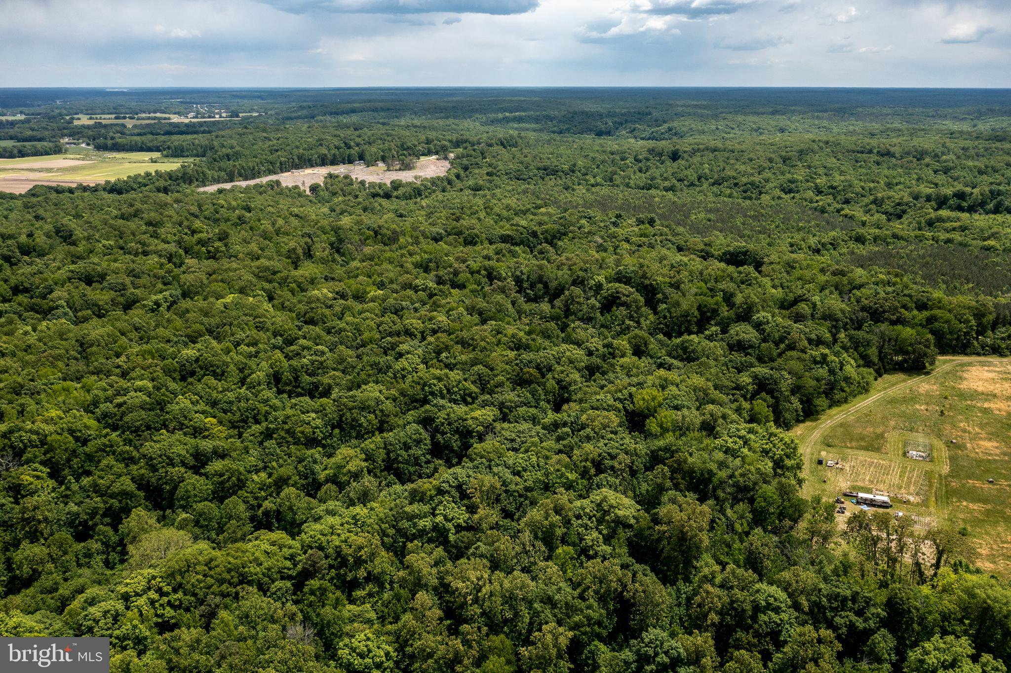 Hicks Landing Road Rappahannock Academy, VA 22538 - Photo 22 of 64