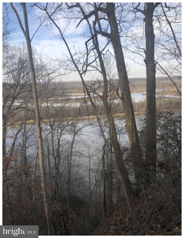 Hicks Landing Road Rappahannock Academy, VA 22538 - Photo 25 of 64