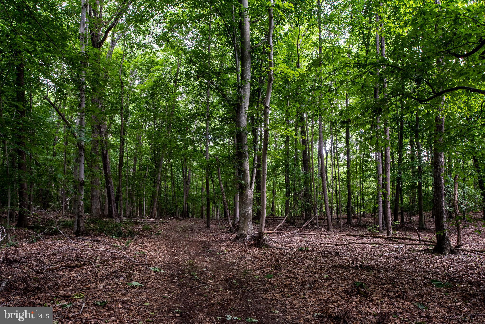 Hicks Landing Road Rappahannock Academy, VA 22538 - Photo 26 of 64