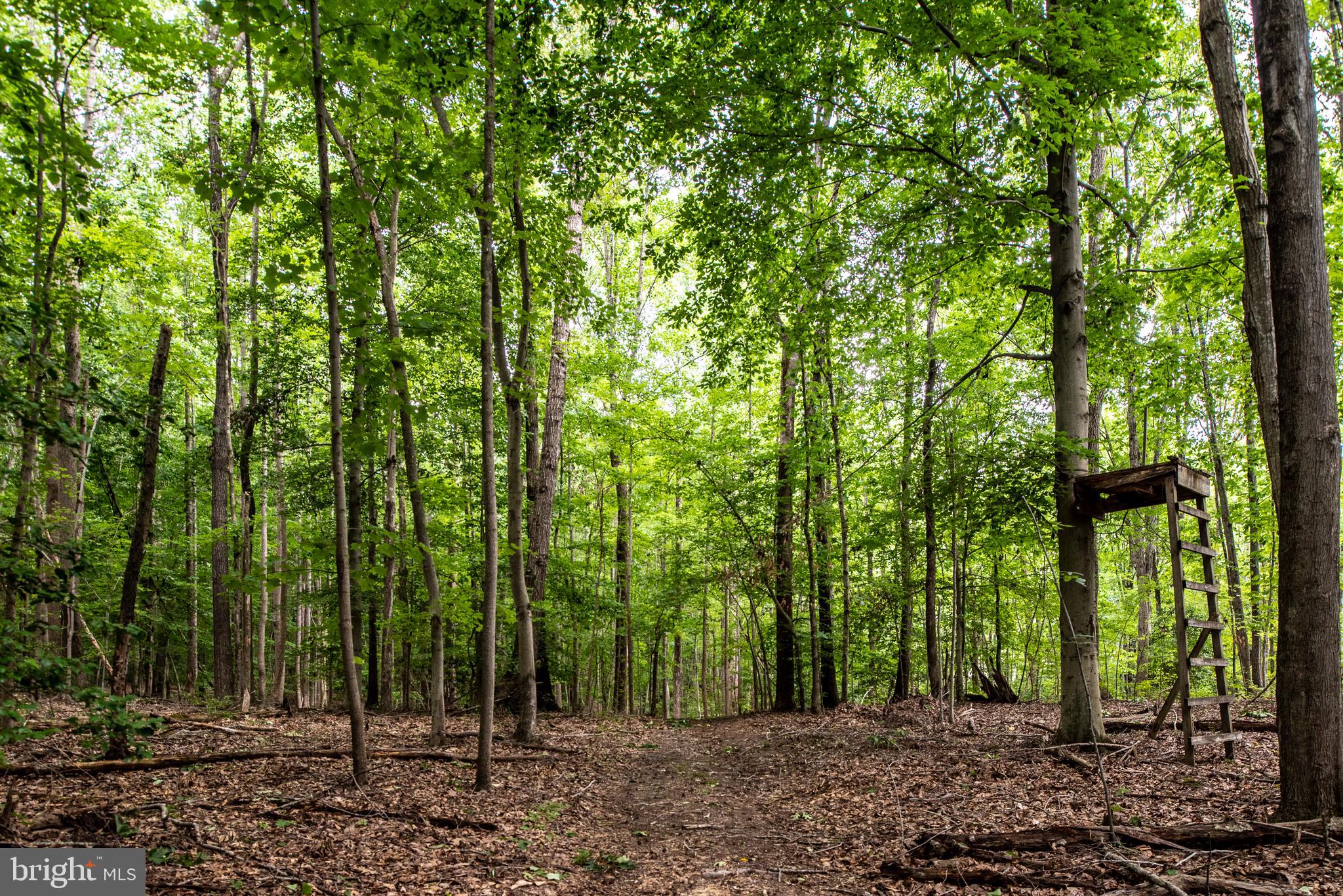 Hicks Landing Road Rappahannock Academy, VA 22538 - Photo 28 of 64