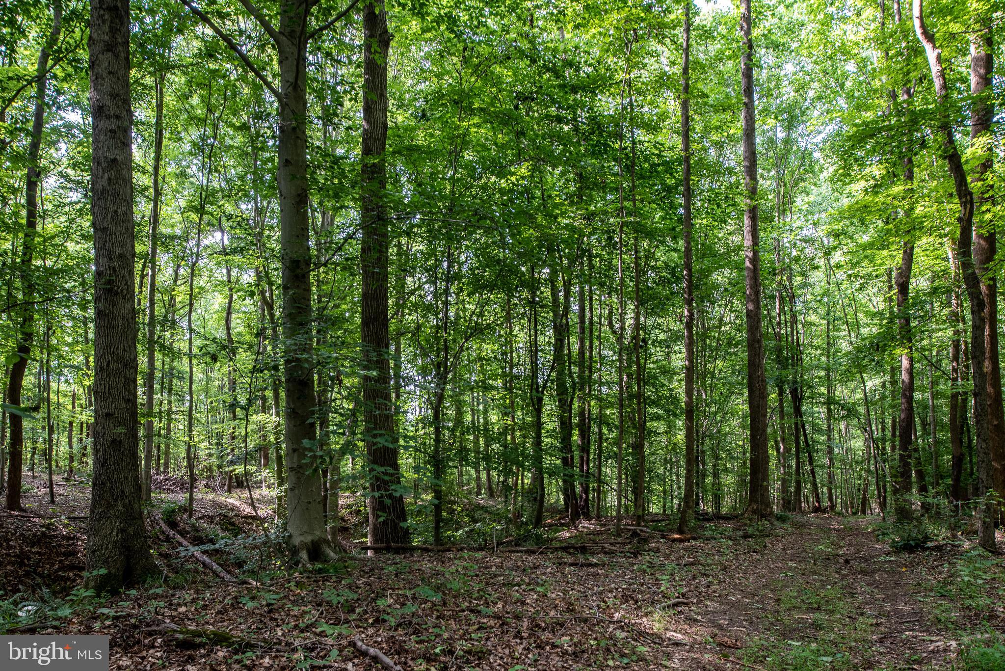 Hicks Landing Road Rappahannock Academy, VA 22538 - Photo 29 of 64